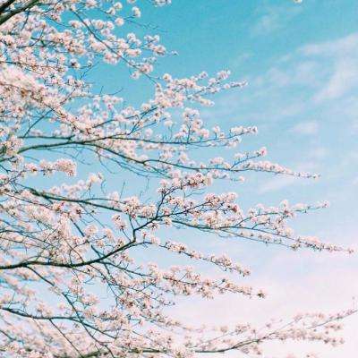 火狐体育APP下载手机版